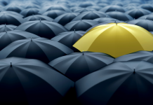 La gestion des attentes liées aux différences de valeurs personnelles dans le couple