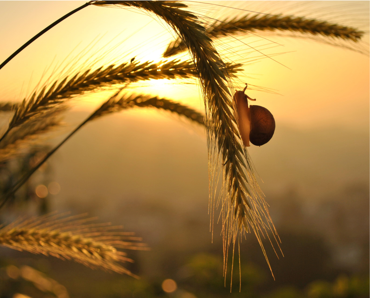 Renforcer la patience chez les adolescents à travers les enseignements juifs