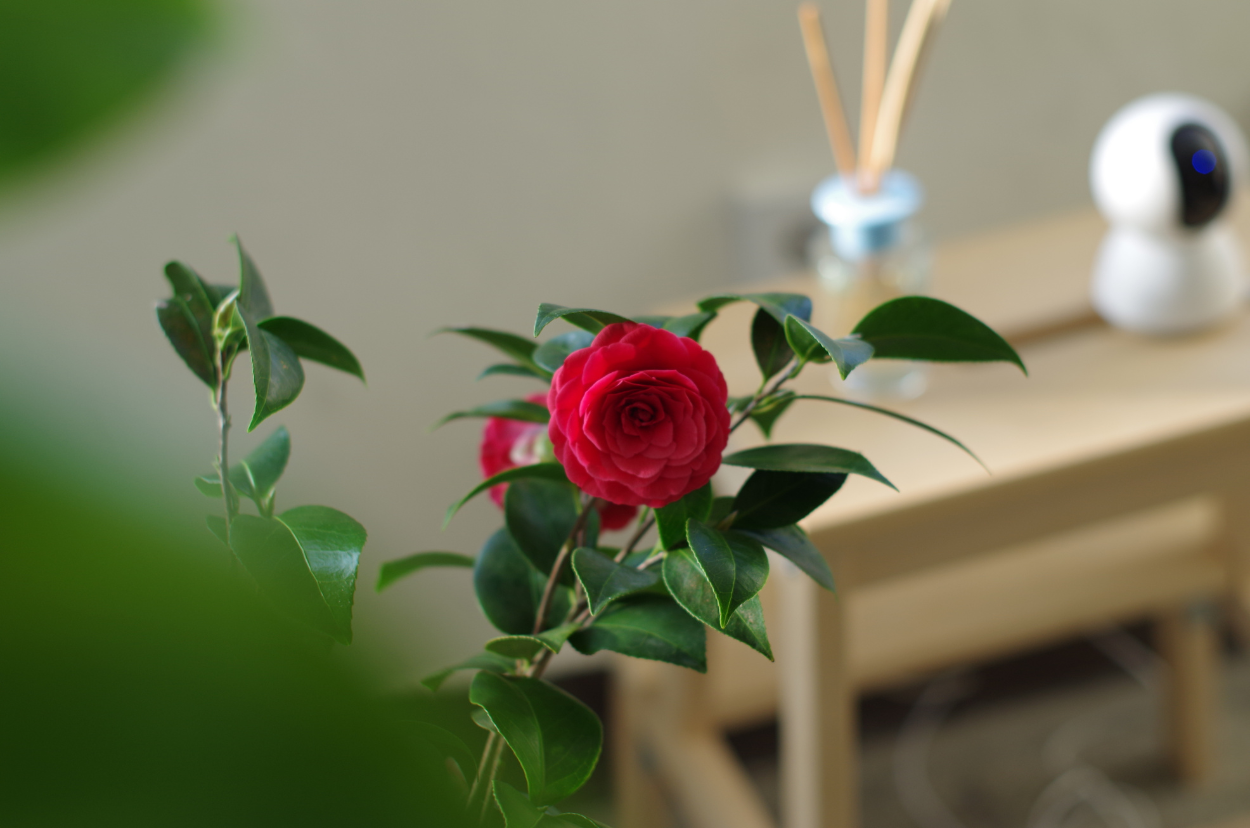 L’importance du respect des règles dans la vie quotidienne