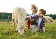 L’importance de la responsabilité envers les animaux dans le judaïsme