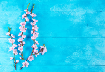 Développer une intimité Épanouie et Saine PODCAST