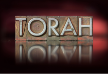 L’importance des traditions familiales dans l’éducation des jeunes