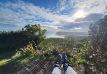 Célébrer l’Amour à travers des Gestes de Surprise et de Spontanéité PODCAST