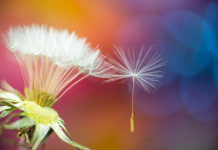 Cultiver un Climat de Respect et d’Appréciation pour les Besoins de l’Autre PODCAST