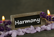 Harmonie et Compréhension : Les Clés d’une Relation Épanouie PODCAST