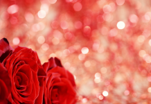 Célébrer l’Amour par la Gentillesse et l’Attention PODCAST