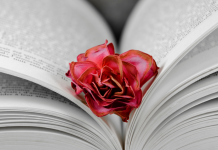 Tisser des Liens d’Amour et de Reconnaissance: Un Art Ancré dans la Tradition Juive PODCAST