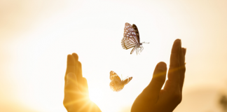 Vivre dans le moment présent – HINENI image mis en avant article développement personnel