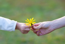 Soutenir spirituellement ses parents : un acte sacré de gratitude et de mitsva