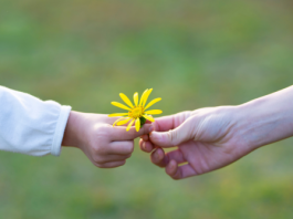 Soutenir spirituellement ses parents : un acte sacré de gratitude et de mitsva image mis en avant soutenir parents dans article traditions Soutenir spirituellement ses parents : un acte sacré de gratitude et de mitsva