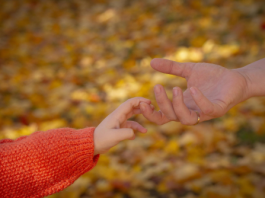 Les enfants devenus adultes